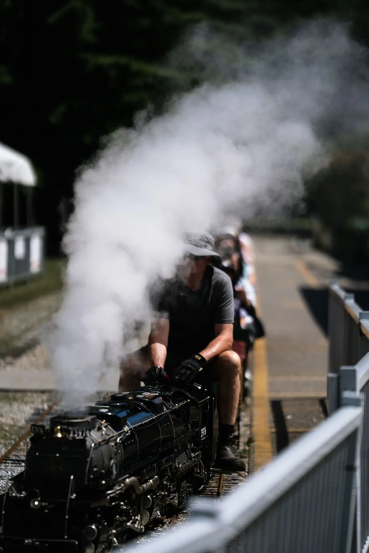 Shop Model Train with Steam