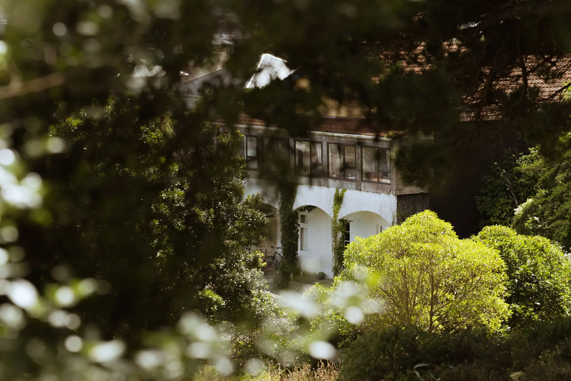 Haven A haven from the bustle of the world